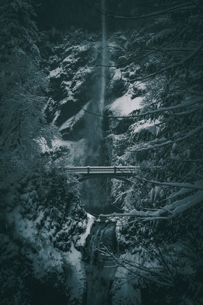 白雪覆盖的桥
